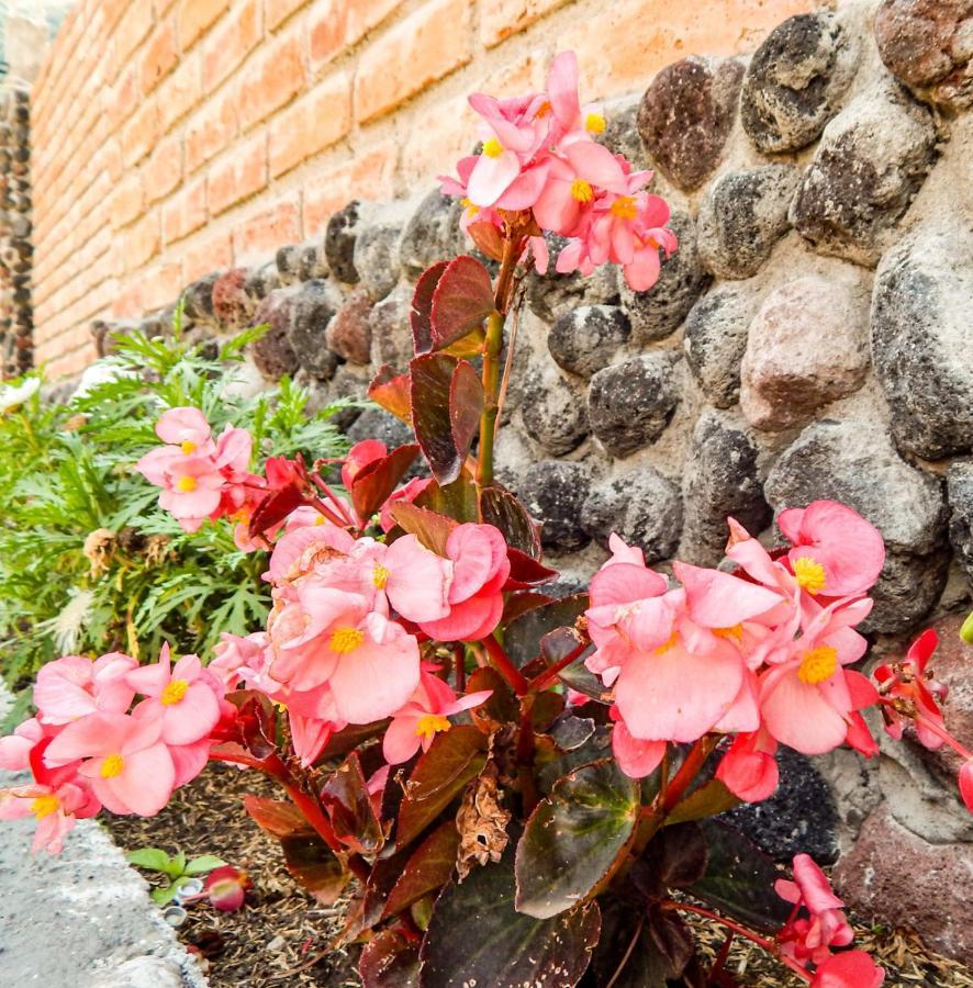 ホテル Pampa Garden Quillullaco エクステリア 写真